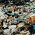 Mil toneladas de lixo são despejados no Brasil vindo da Europa