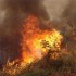 Incêndio na Ilha do Bananal em Tocantins atinge área da metade do estado de Sergipe