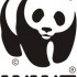 WWF diz: Várias das 600 espécies descobertas em 10 anos no Madagascar estão ameaçadas