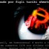 Site de autor do Dia do Orgulho Hétero e invadido por hacker