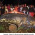 Crocodilo de 6,5m é capturado nas Filipinas