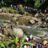 Ponte desaba e mata mais de 30 pessoas na Índia