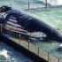 Carcaça de uma baleia morta vai parar dentro de piscina na Austrália