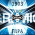 Ex-presidente do Grêmio prefere Renato Gaúcho como técnico