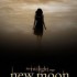 Ingressos para o filme Lua nova (New moon) continuação da saga Crepúsculo