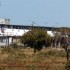 Complexo Penitenciário da Papuda tem surto de caxumba