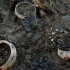 Arqueólogos descobrem “Pompeia britânica” em vilarejo destruído em incêndio