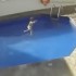 Câmeras de hotel flagram padrasto afogando menina de três anos em piscina