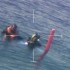 A odisseia de 2 mergulhadores perdidos por 48 horas em águas cheias de tubarões