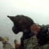 Os cães paraquedistas que combatem caçadores de animais na África