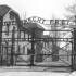 Aliados sabiam do Holocausto anos antes do fim da guerra, segundo documentos