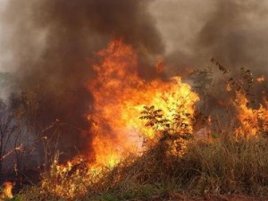 queimada-mato-grosso