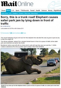 elefante-deitado-em-estrada-inglaterra