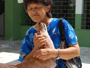 cachorro-que-foi-arrastado-na-pb-adotado