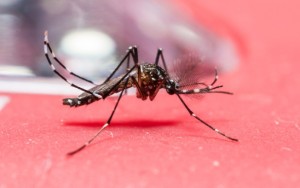 Zika na Colombia
