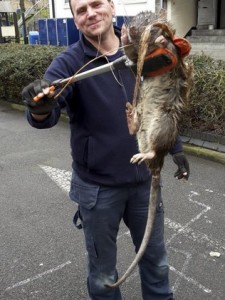 Criatura bizarra encontrada morta em Londres