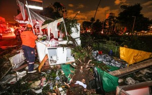 Quase 200 árvores caem em temporal que causou 1 morte e deixou 8 feridos em SP