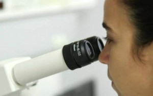 Pesquisadores fazem “vaquinha” para estudar microcefalia na Paraíba