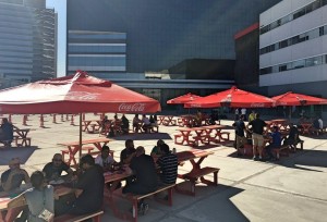 Cerveja e cachorro-quente a R$ 13 cada; confira os preços da alimentação