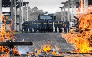 Uma foto vale mais do que mil tiros. Quase sempre.