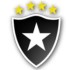Botafogo contrata quatro jogadores do Cruzeiro