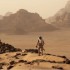 Sete razões para “Perdido em Marte” ganhar o Oscar de melhor filme