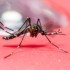 Casos de zika na Colômbia passam de 22,6 mil; país é o segundo mais infectado