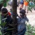 Mulher morre após levar picadas de formiga venenosa em linchamento na Bolívia